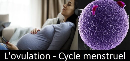Comment Calculer le Cycle Menstruel Pour Tomber Enceinte.