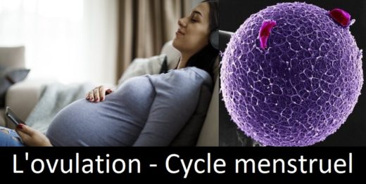 Comment Calculer le Cycle Menstruel Pour Tomber Enceinte.
