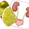 Soin 145: Infection Urinaire Soin Naturel Infection des Voies Urinaires – Image 2