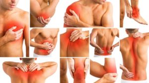 Fibromyalgie Traitement Naturel